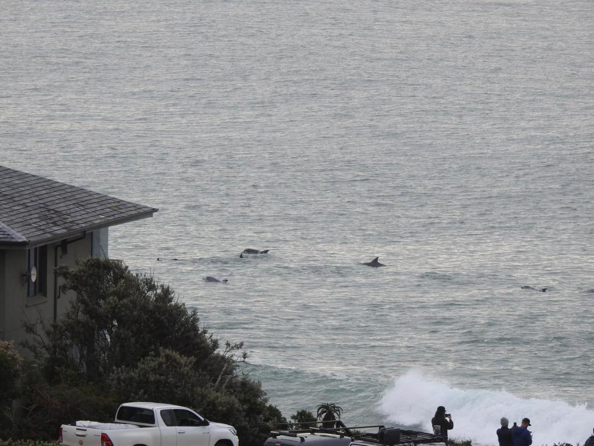 Appartamento Surfstar At Mimosa Jeffreys Bay Esterno foto