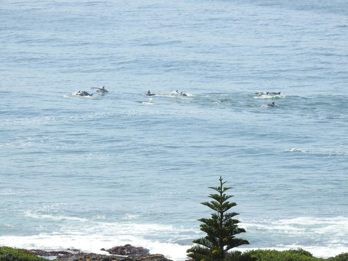 Appartamento Surfstar At Mimosa Jeffreys Bay Esterno foto